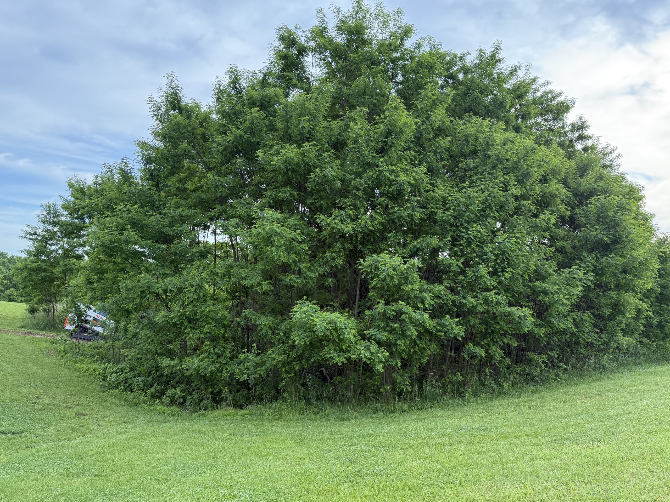 land clearing in Scott County KY residential property
