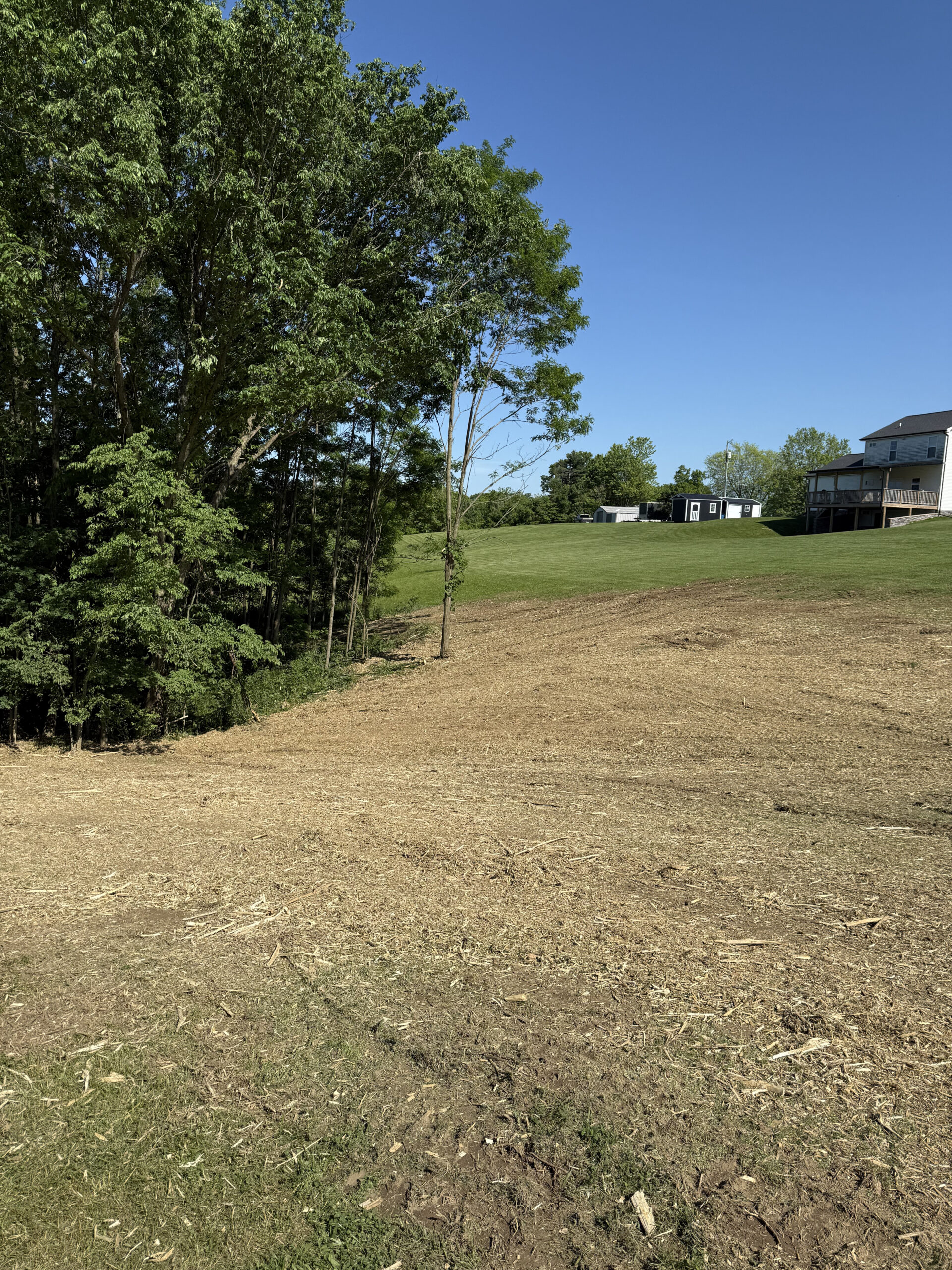 Professional crew clearing wooded lot in Spencer County KY