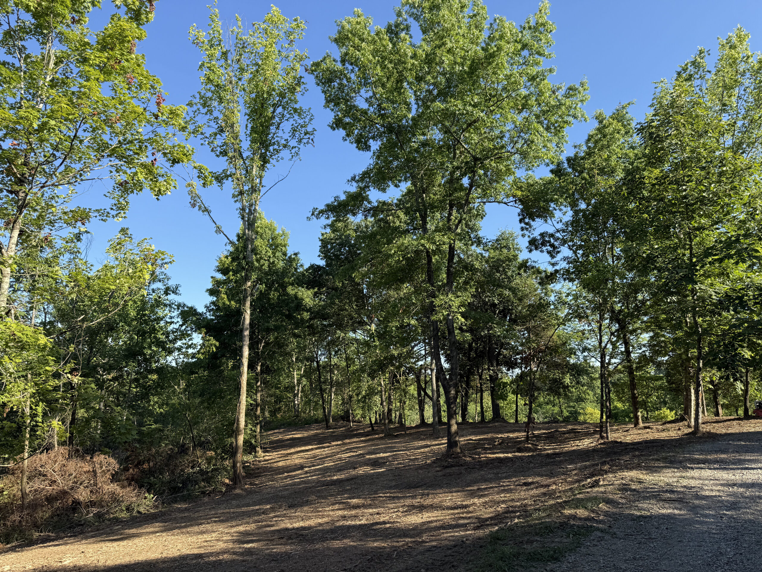 Land clearing machinery in Madison County KY preparing site
