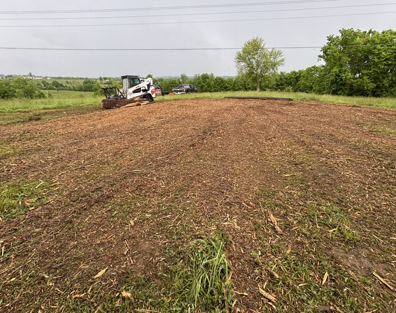Professional land clearing in Clark County, KY by Terrain Land Management