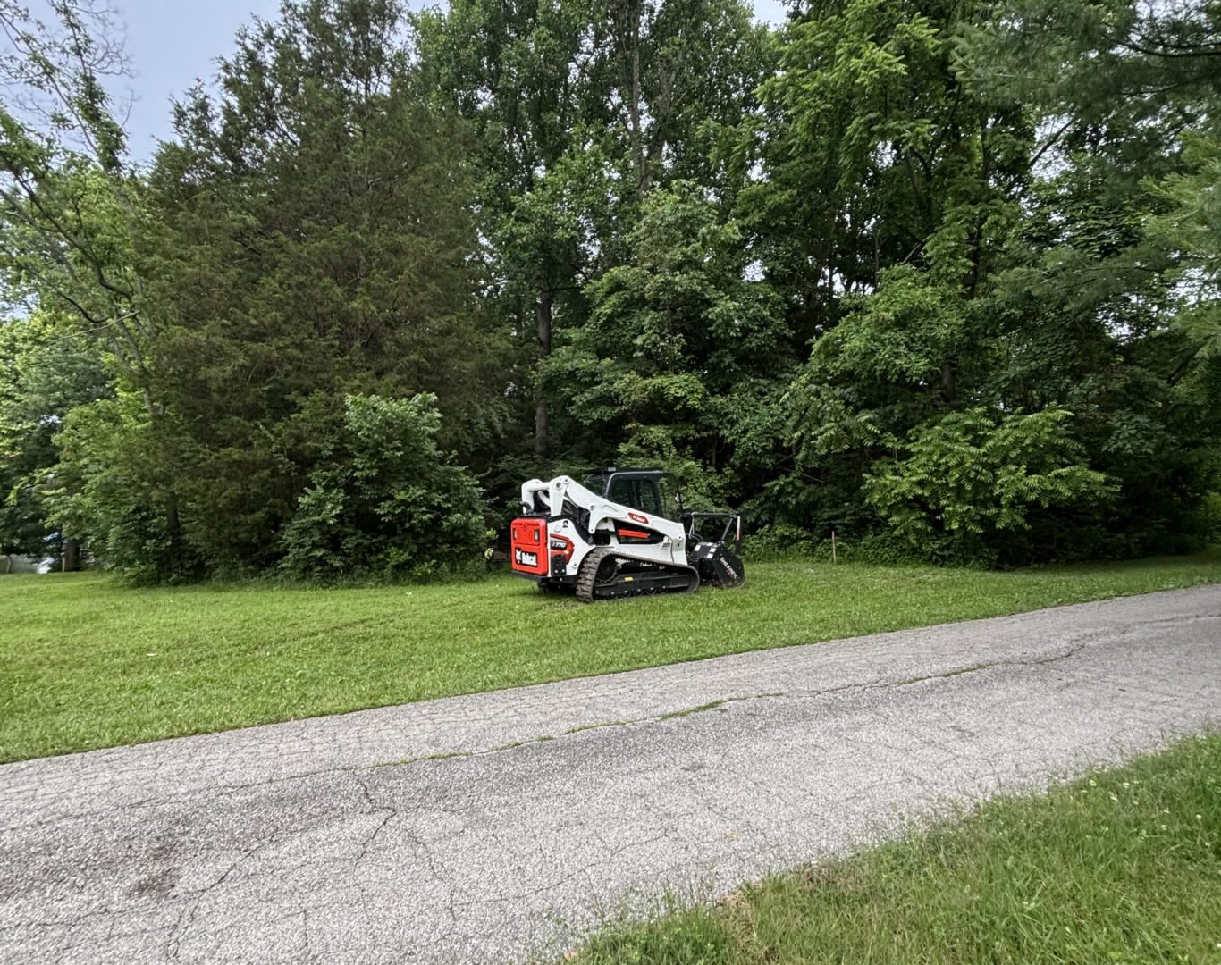 Brush and tree removal services Jefferson County KY