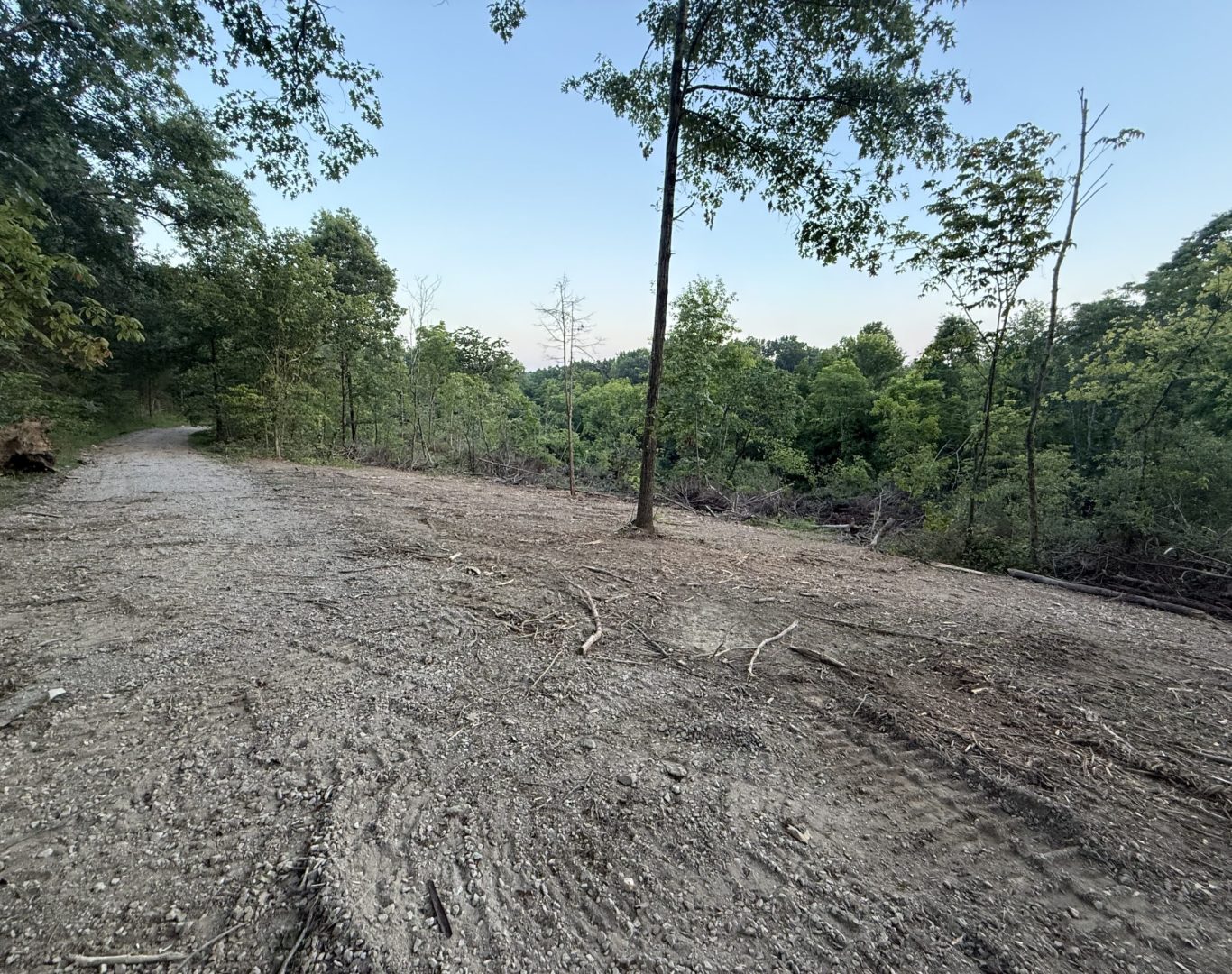 cleared property after land clearing Oldham County KY