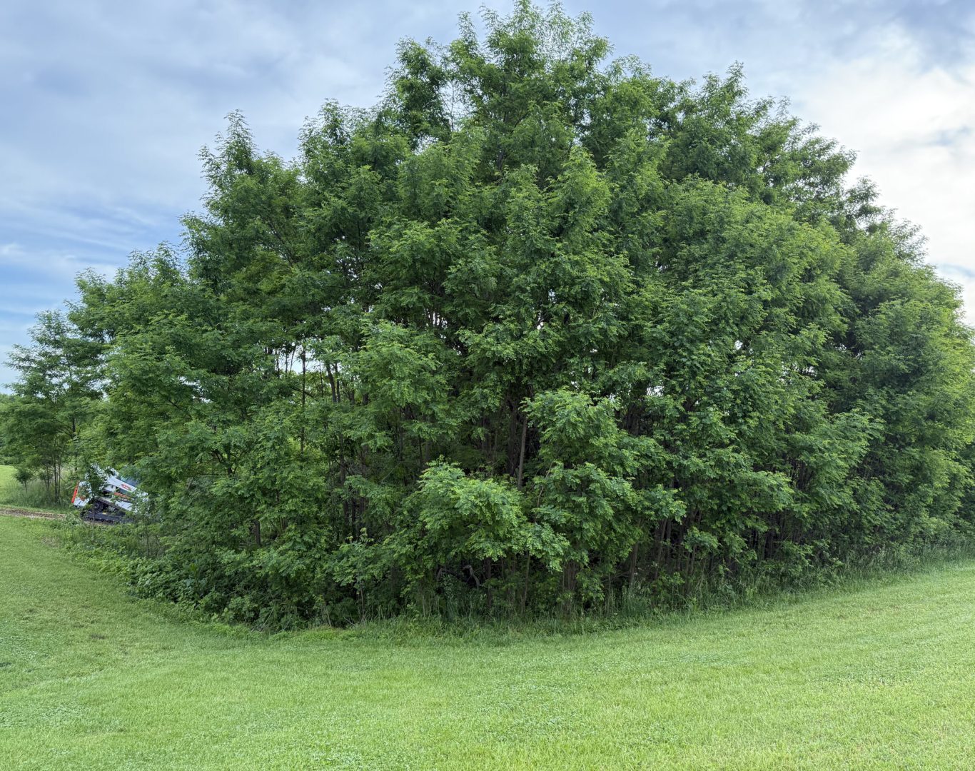 land clearing in Scott County KY residential property