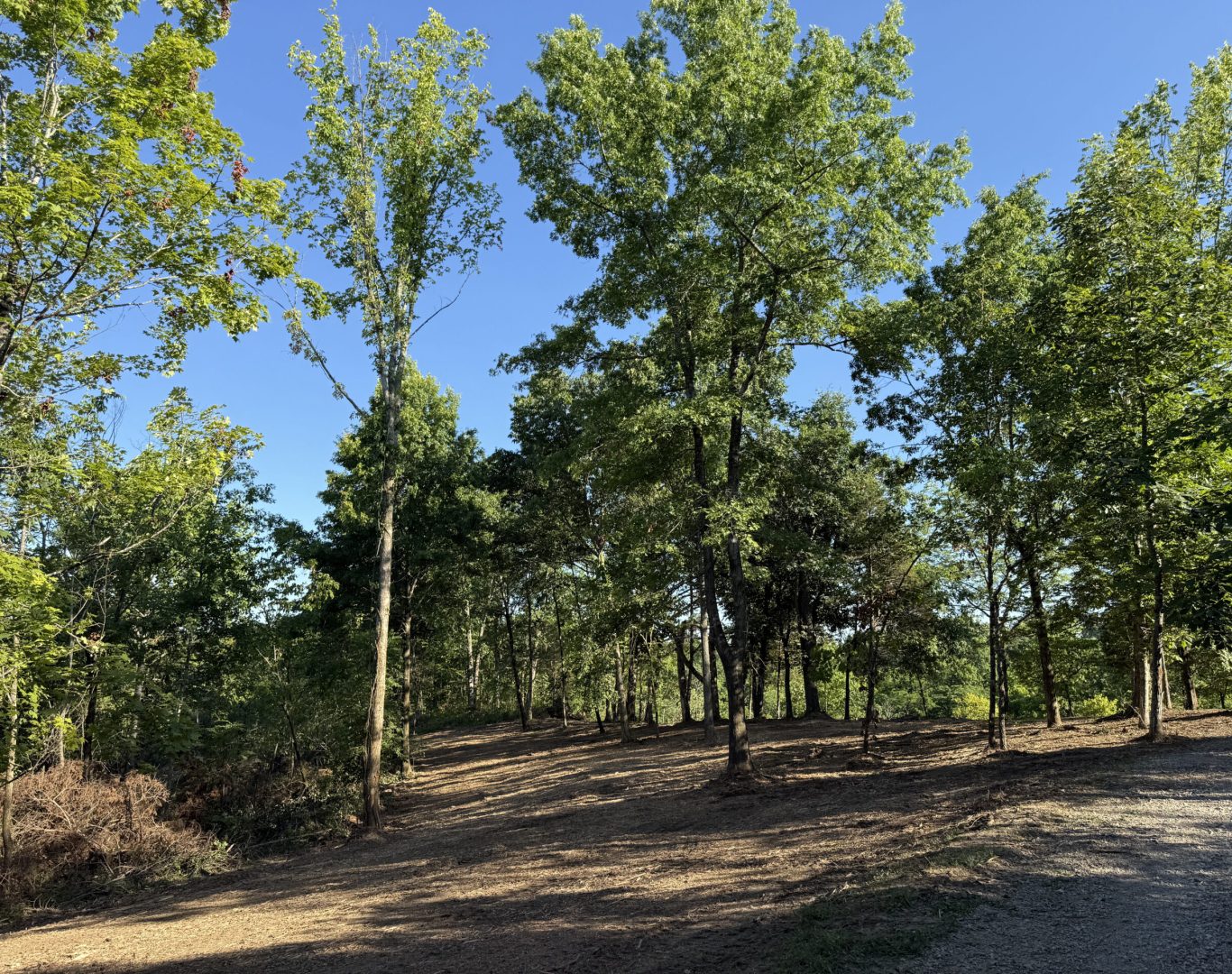 Land clearing machinery in Madison County KY preparing site